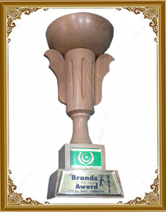Certificate Company Brand Award 2011